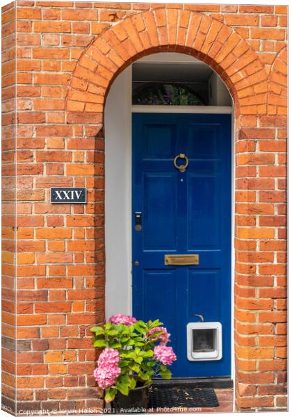 Blue door with catflap and hydrangea flowers,  Canvas Print by Kevin Hellon