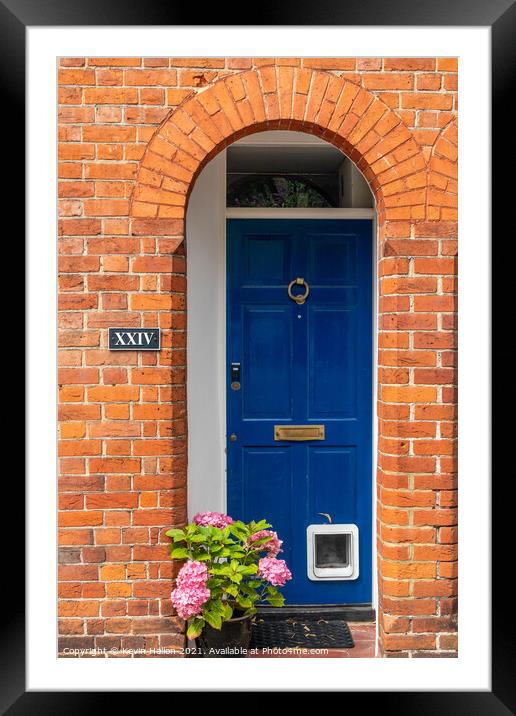 Blue door with catflap and hydrangea flowers,  Framed Mounted Print by Kevin Hellon