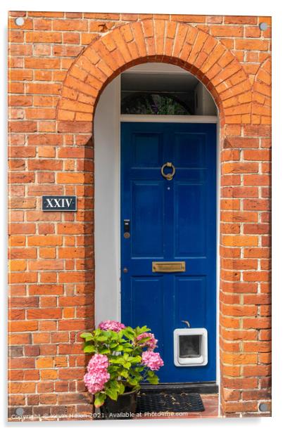 Blue door with catflap and hydrangea flowers,  Acrylic by Kevin Hellon