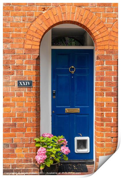 Blue door with catflap and hydrangea flowers,  Print by Kevin Hellon