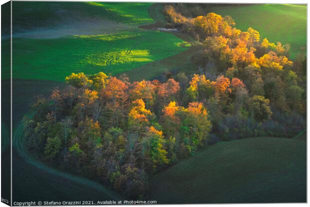 Heart shaped woods in autumn. Tuscany Canvas Print by Stefano Orazzini