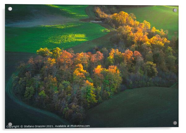 Heart shaped woods in autumn. Tuscany Acrylic by Stefano Orazzini