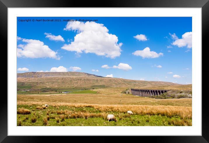 Ribblehead Viaduct and Whernside Yorkshire Dales Framed Mounted Print by Pearl Bucknall