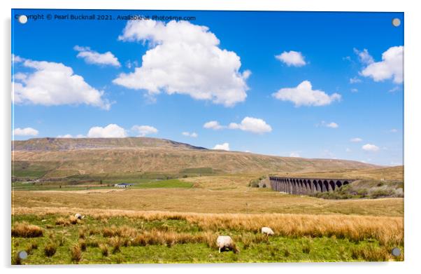 Ribblehead Viaduct and Whernside Yorkshire Dales Acrylic by Pearl Bucknall