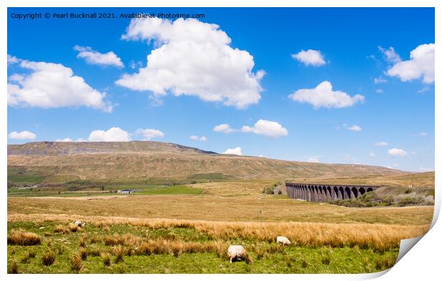 Ribblehead Viaduct and Whernside Yorkshire Dales Print by Pearl Bucknall