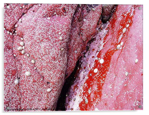 Red Rocks, Skomer Island Acrylic by DEE- Diana Cosford