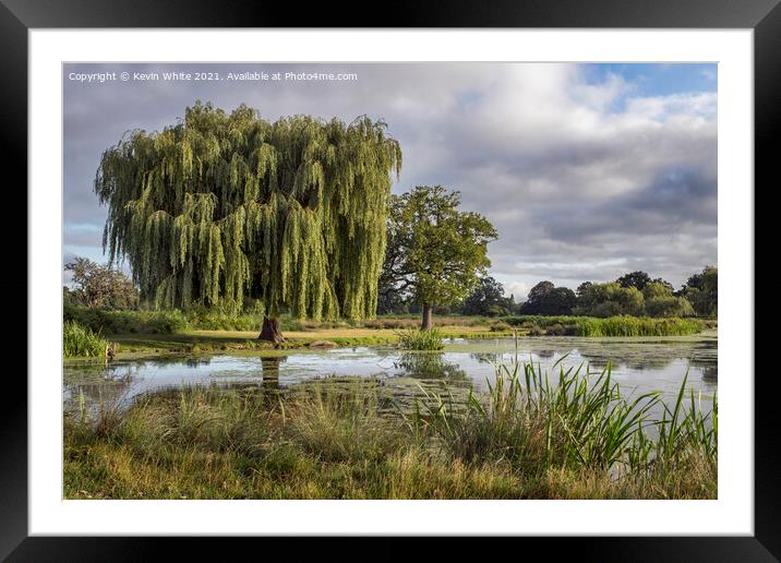 Wildlife ponds in Bushy Park Framed Mounted Print by Kevin White