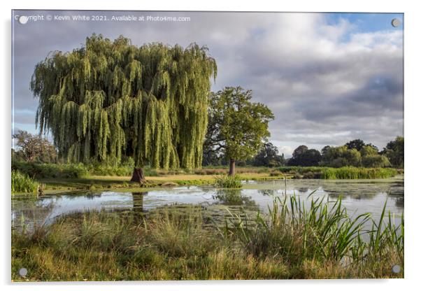 Wildlife ponds in Bushy Park Acrylic by Kevin White