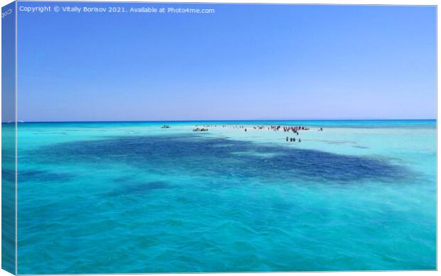White Island in the Red Sea in August 2021 (Egypt) Canvas Print by Vitaliy Borisov