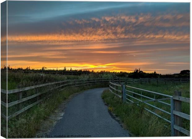 Road to nowhere Canvas Print by Shaun Ryan