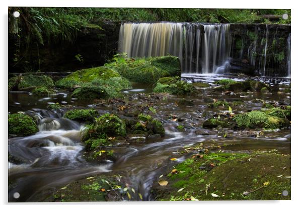 Enchanting Waterfall at Hayburn Wyke Acrylic by Ron Ella