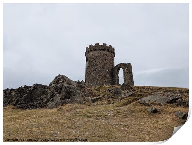  Bradgate park Leicestershire Print by Shaun Ryan