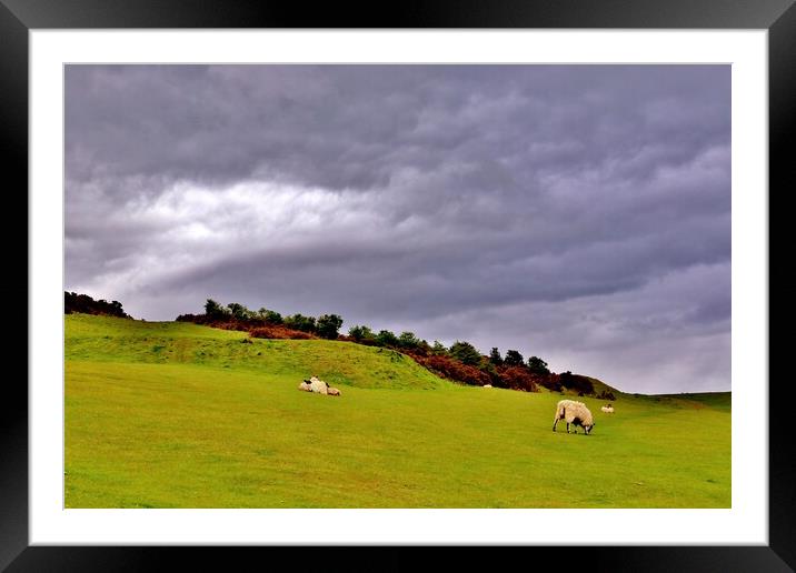 Dramatic Sky on Cleeve Common Framed Mounted Print by Susan Snow