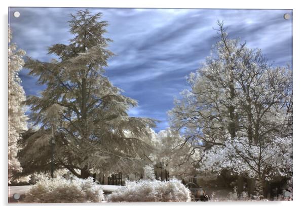 Park Campus Cheltenham in Infrared Acrylic by Susan Snow