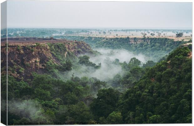 Kyambura Gorge in Queen Elisabeth National Park with Fog  Canvas Print by Dietmar Rauscher