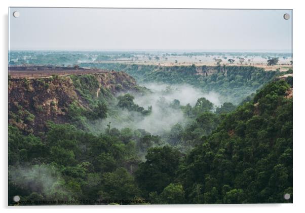 Kyambura Gorge in Queen Elisabeth National Park with Fog  Acrylic by Dietmar Rauscher