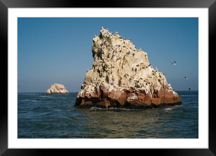 Guano Islands - Islas Ballestas, Islands off Peru Framed Mounted Print by Dietmar Rauscher