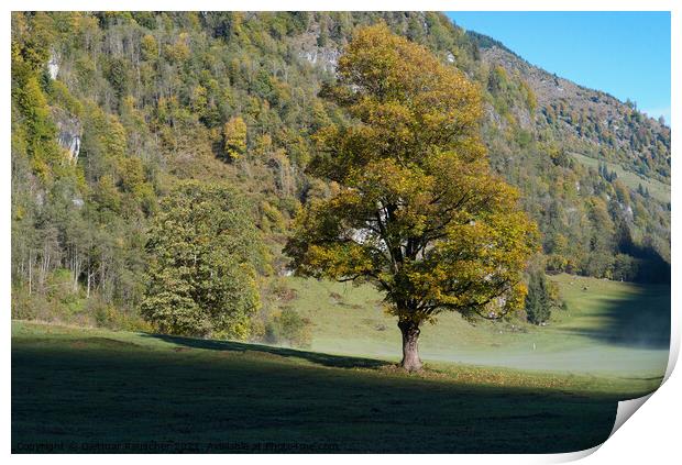 Tree with Golden Leaves in an Alpine Autumn Landscape Print by Dietmar Rauscher