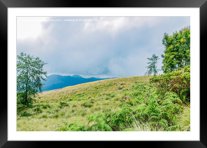Misty mountains of Munnar, Kerala, India Framed Mounted Print by Lucas D'Souza