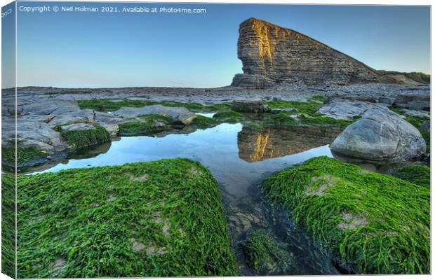 The Sphinx at Nash Point  Canvas Print by Neil Holman