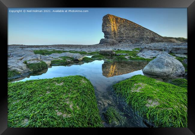 The Sphinx at Nash Point  Framed Print by Neil Holman