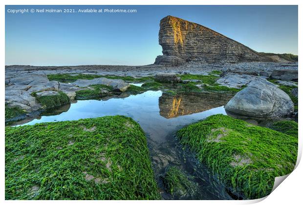 The Sphinx at Nash Point  Print by Neil Holman