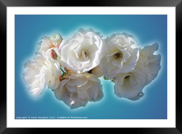 Still Life White Roses Framed Mounted Print by Kevin Maughan