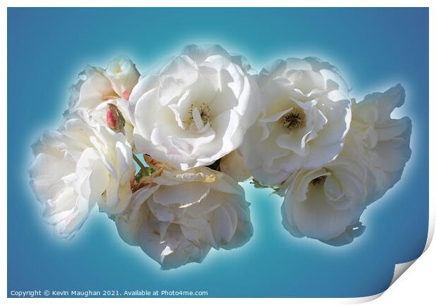 Still Life White Roses Print by Kevin Maughan