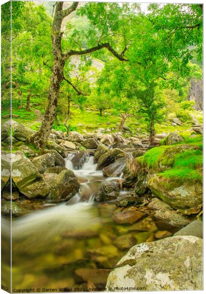 Aber Falls Wales Canvas Print by Darren Wilkes