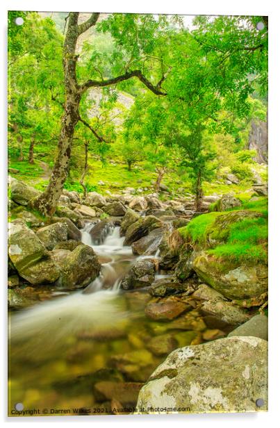 Aber Falls Wales Acrylic by Darren Wilkes