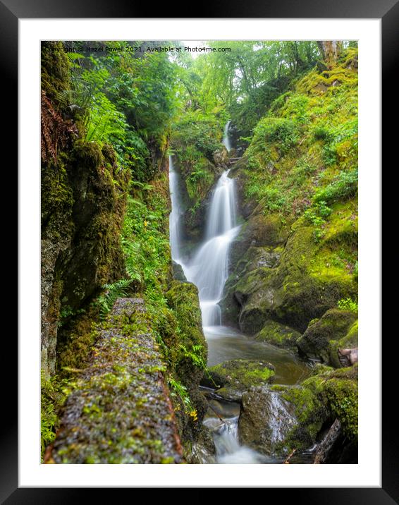 Stock Ghyll Force Framed Mounted Print by Hazel Powell