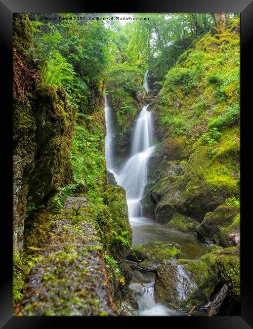 Stock Ghyll Force Framed Print by Hazel Powell