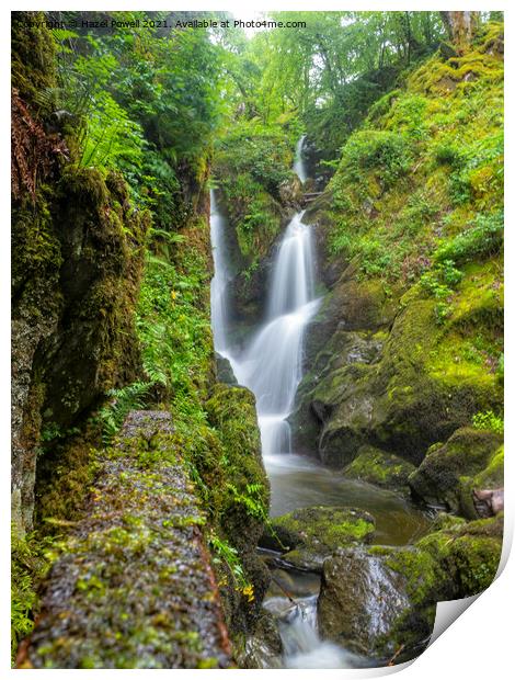 Stock Ghyll Force Print by Hazel Powell