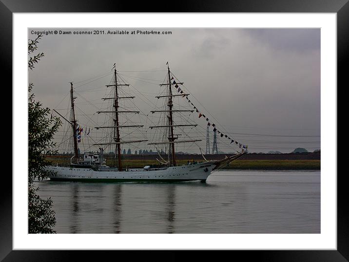 Gloria, Colombian Navy Ship 3 Framed Mounted Print by Dawn O'Connor