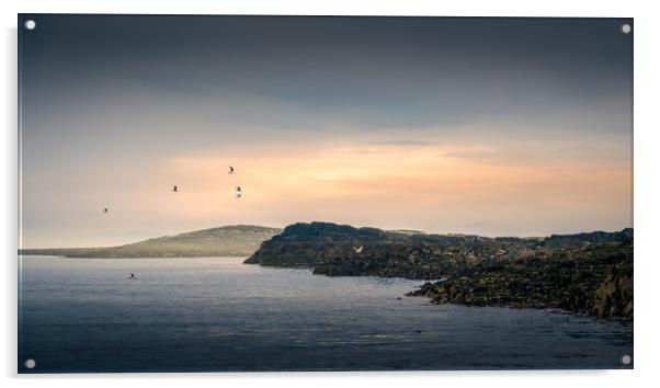 Farne Island Sunset Acrylic by Mark Jones