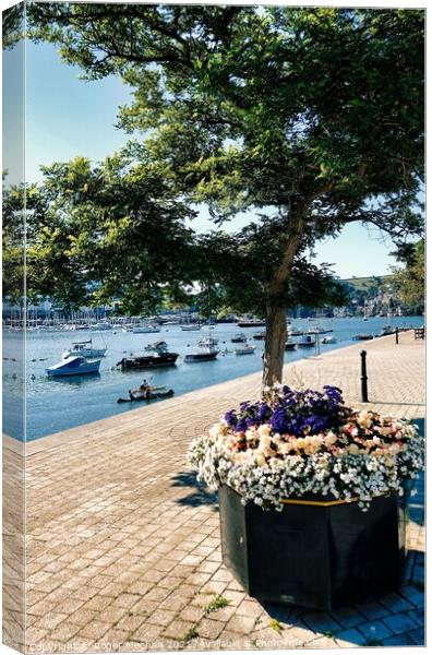 Serenity in Dartmouth Canvas Print by Roger Mechan