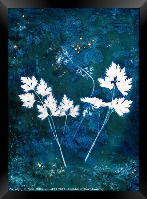 Parsley Leaves Framed Print by Eileen Wilkinson ARPS EFIAP