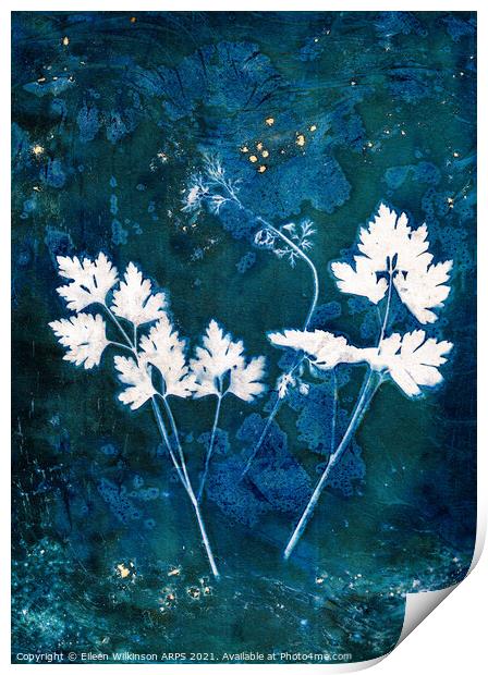Parsley Leaves Print by Eileen Wilkinson ARPS EFIAP