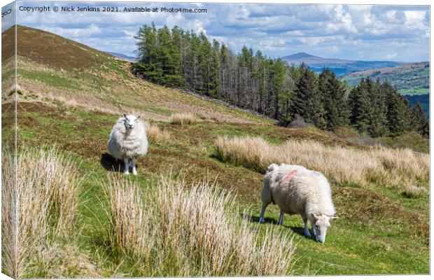 Two sheep on Tor y Foel in the Brecon Beacons Canvas Print by Nick Jenkins