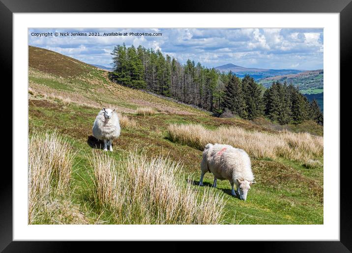 Two sheep on Tor y Foel in the Brecon Beacons Framed Mounted Print by Nick Jenkins