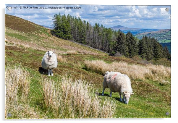 Two sheep on Tor y Foel in the Brecon Beacons Acrylic by Nick Jenkins