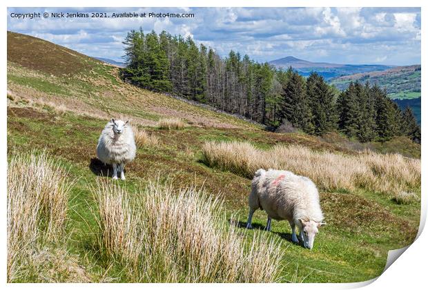 Two sheep on Tor y Foel in the Brecon Beacons Print by Nick Jenkins
