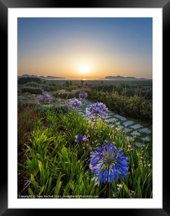 Pollensa sunrise with Agapanthus Framed Mounted Print by Giles Rocholl