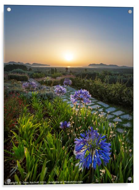 Pollensa sunrise with Agapanthus Acrylic by Giles Rocholl