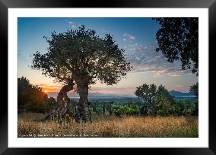 Spanish sunrise Pollenca Framed Mounted Print by Giles Rocholl