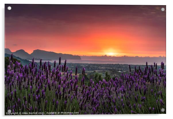 Lavender sunrise Pollensa Acrylic by Giles Rocholl