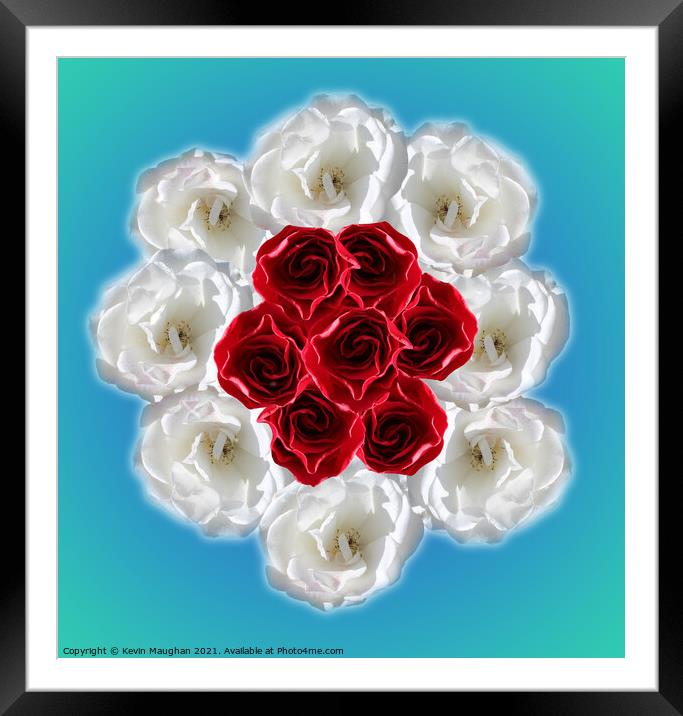 Red And White Roses Framed Mounted Print by Kevin Maughan