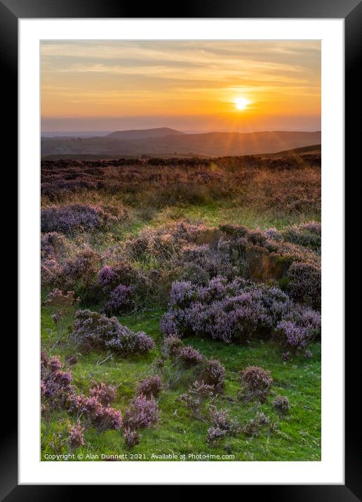 Long Mynd heather Framed Mounted Print by Alan Dunnett