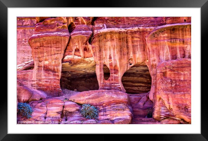 Rose Red Rock Tombs Street of Facades Petra Jordan  Framed Mounted Print by William Perry