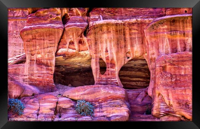 Rose Red Rock Tombs Street of Facades Petra Jordan  Framed Print by William Perry